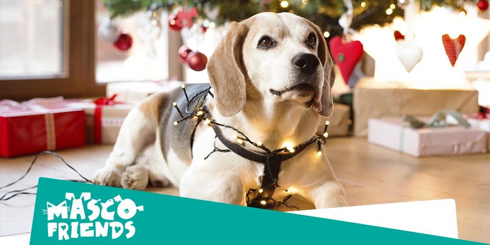 Películas de perros más navideñas